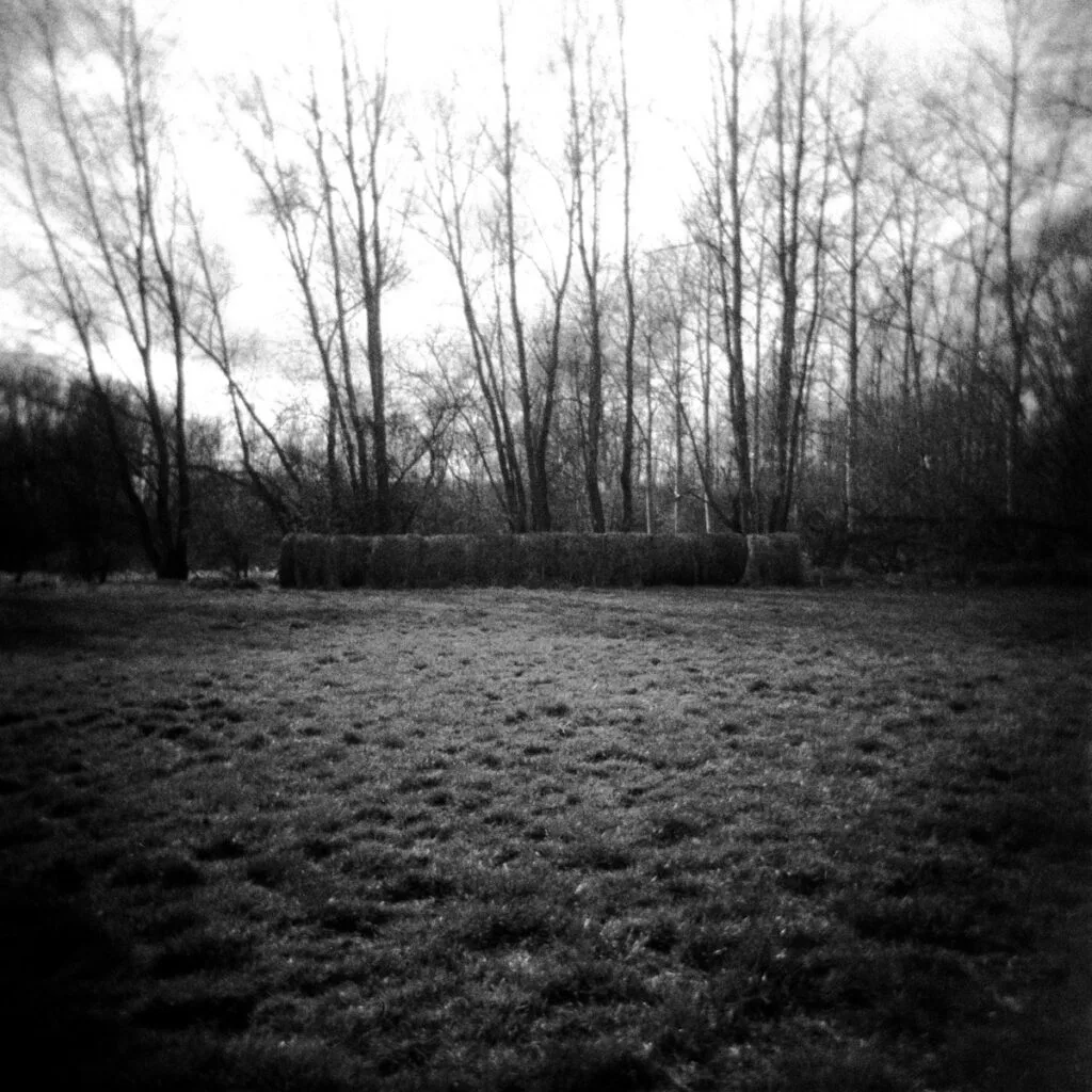 Terre Noire - Aurelien Hubert Photographe