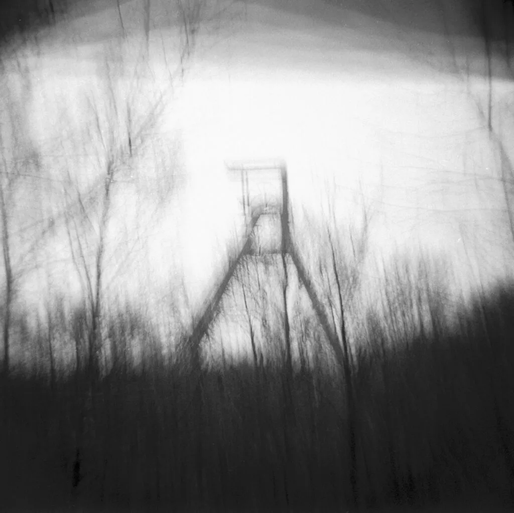 Terre Noire - Aurelien Hubert Photographe