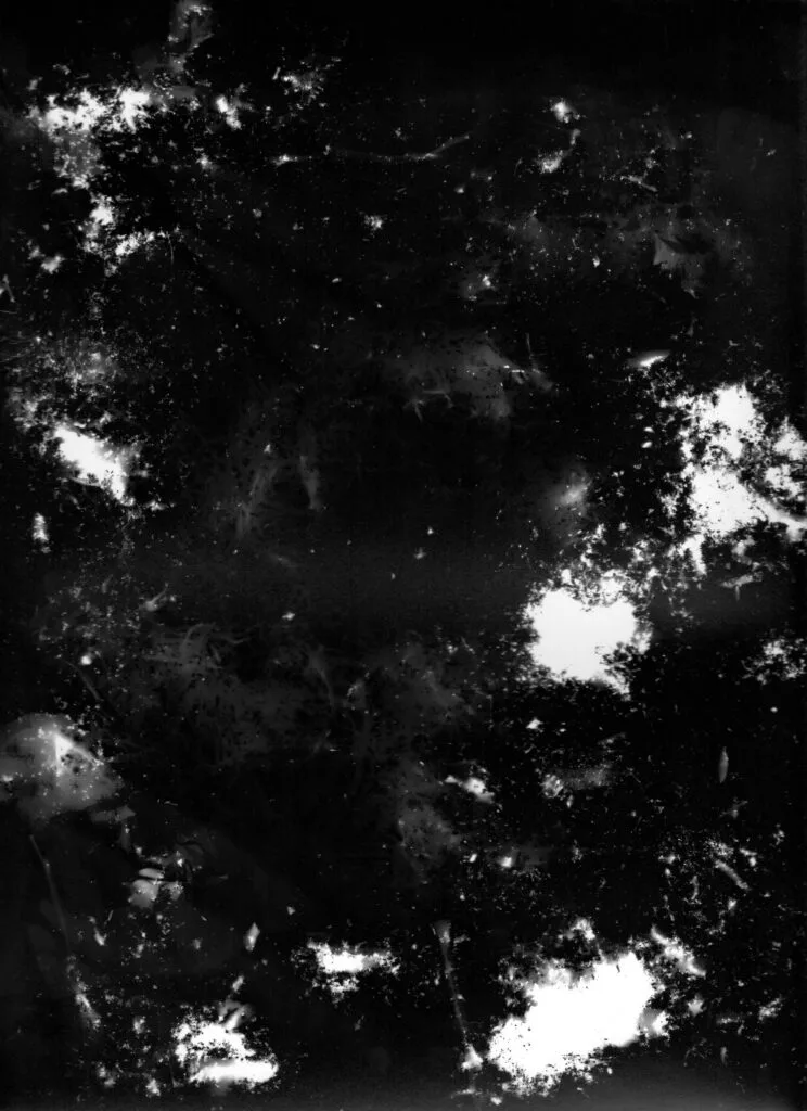 Terre Noire - Aurelien Hubert Photographe