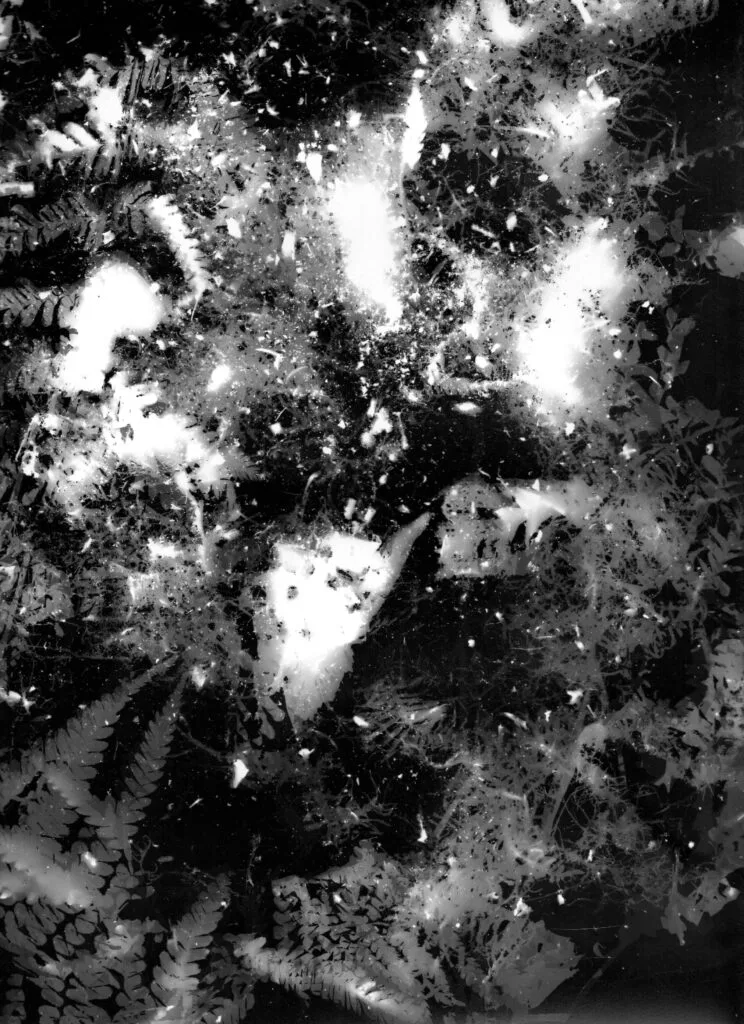 Terre Noire - Aurelien Hubert Photographe